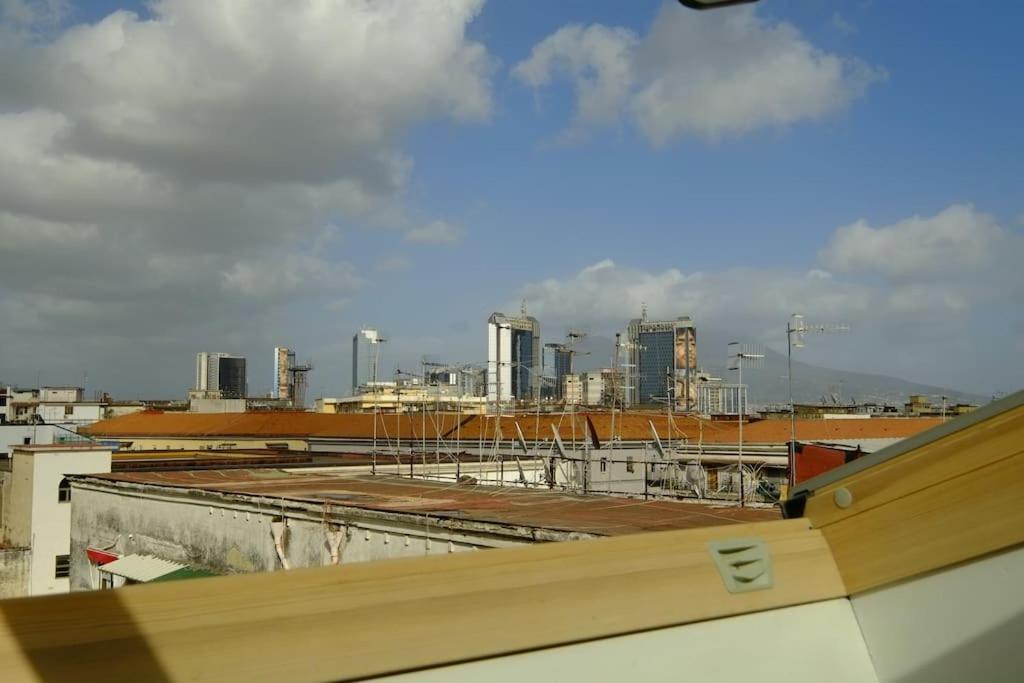 Ibis Redibis